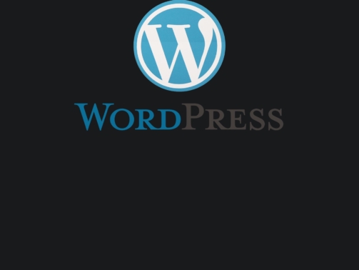 wordpress course